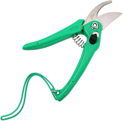 6498