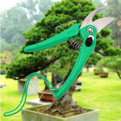 6498
