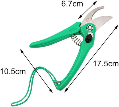 6498